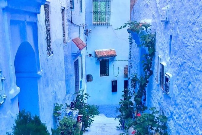 Private Trip to Chefchaouen - Key Points