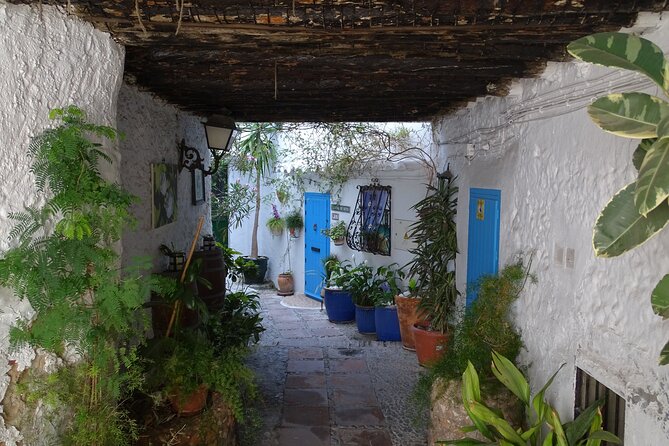 Private Walking Tour Around the Old Town of Frigiliana - Key Points