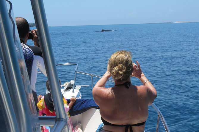 Private Whale Watching Tour at the Pearl Islands Departing From Panama City - Tour Availability and Highlights