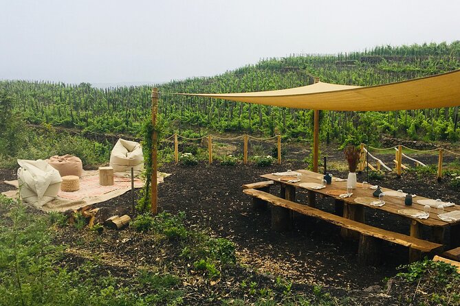 Private Wine and Food Tasting Immersed in Nature in Milo - Key Points