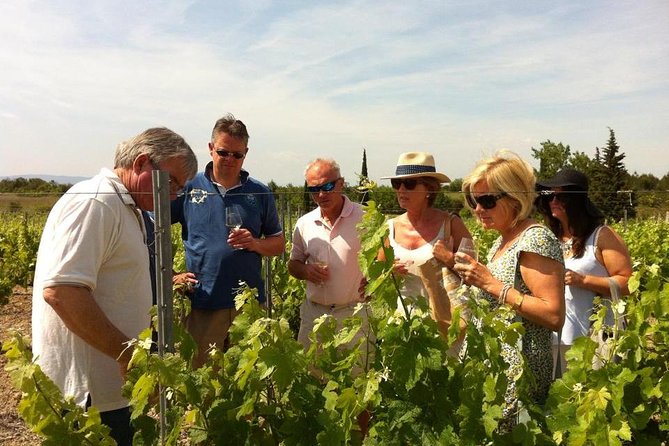 Private Wine Day Tour From Carcassonne and Around. - Key Points
