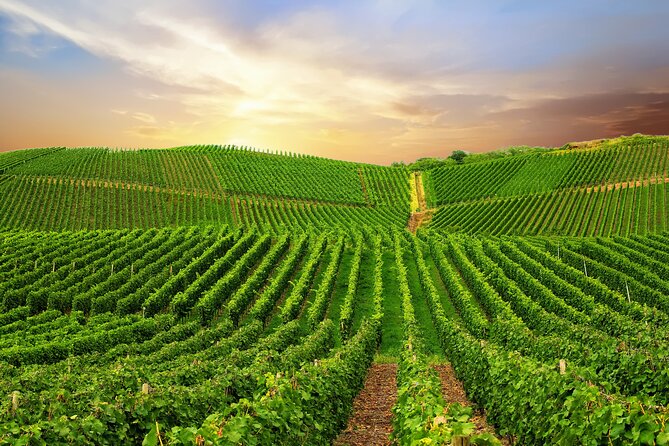 Private Wine Tasting Tour in Munich With a Wine Expert - Tour Pricing and Booking Details