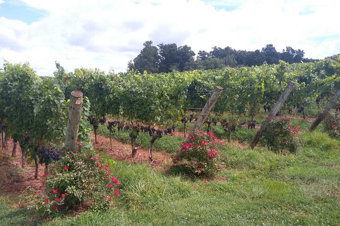 Private Wine Tours (Minimum 3 & Maximum 6 ) Pickup Maximum 30 Mi - Key Points