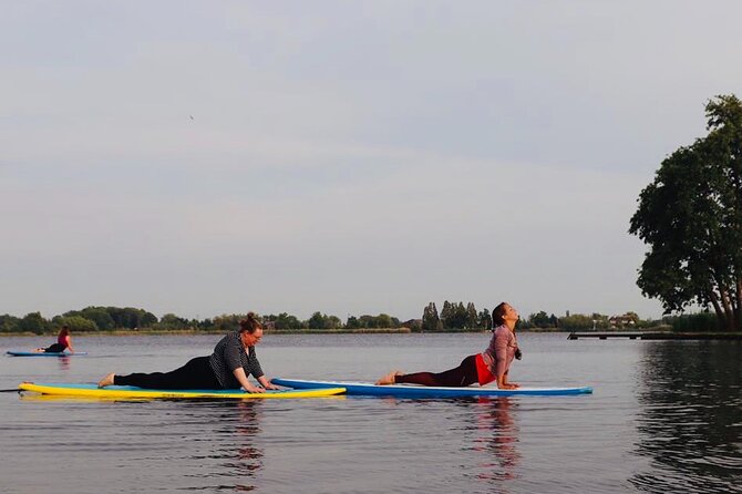 Private Yoga Stand Up Paddle Experience in Reeuwijk - Key Points