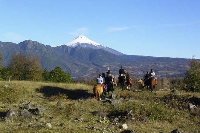 Pucon, Chile: Horseback Trail Riding Excursion  - Pucón - Key Points