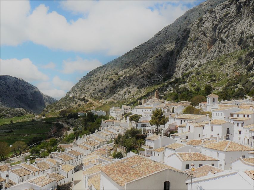 Pueblos Blancos & Ronda: Private Full-Day Tour From Seville - Key Points