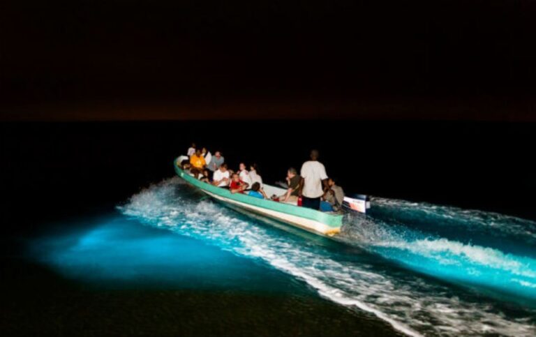 Puerto Escondido: Bioluminescence Night Spectacle