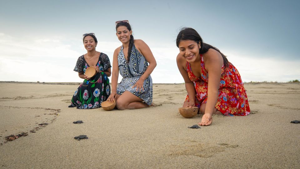 Puerto Escondido: Turtle Release and Bioluminescent Plankton - Activity Details