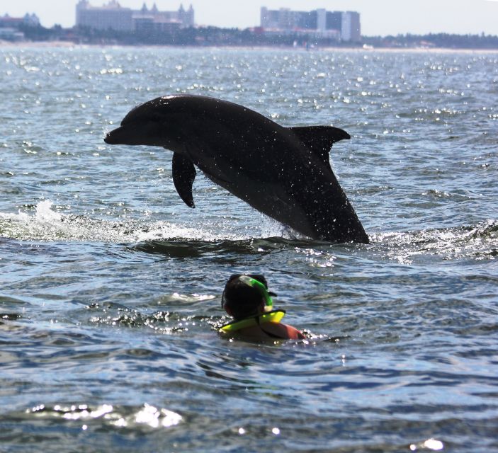 Puerto Vallarta: Dolphin Watching Cruise With a Biologist - Key Points