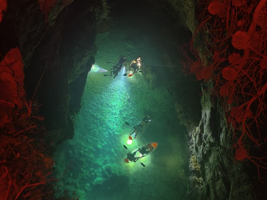 Pula: Istria Sea Canyon Illuminated Kayak Tour by Night - Key Points