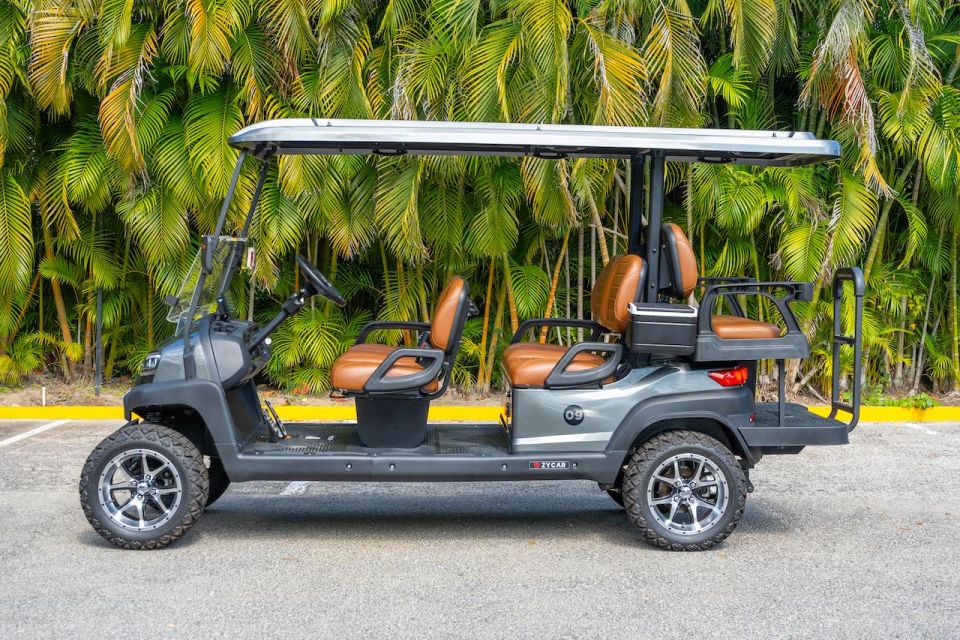 Punta De Mita Golf Cart Rentals - Activity Details