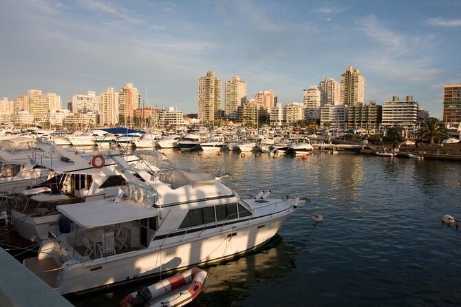 Punta Del Este Shore Excursion: Private Sightseeing Tour of Punta Del Este - Key Points