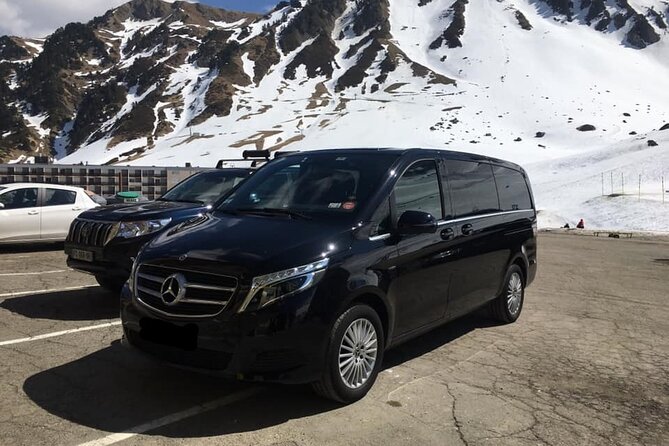 Pyrénées Airport Transfer by Vehicle With Driver - Key Points
