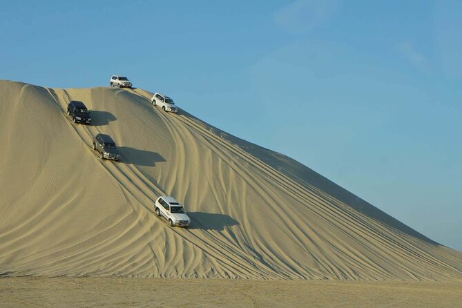 Qatar Desert Safari, Dune Bashing (Private Safari Tour) - Key Points