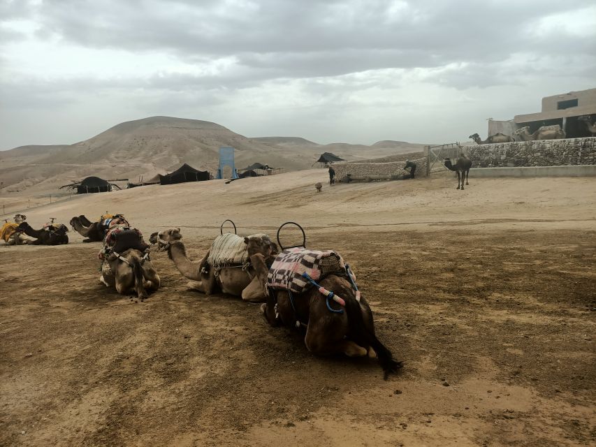 Quad Bike and Camel Ride in Agafay Desert With Lunch - Key Points