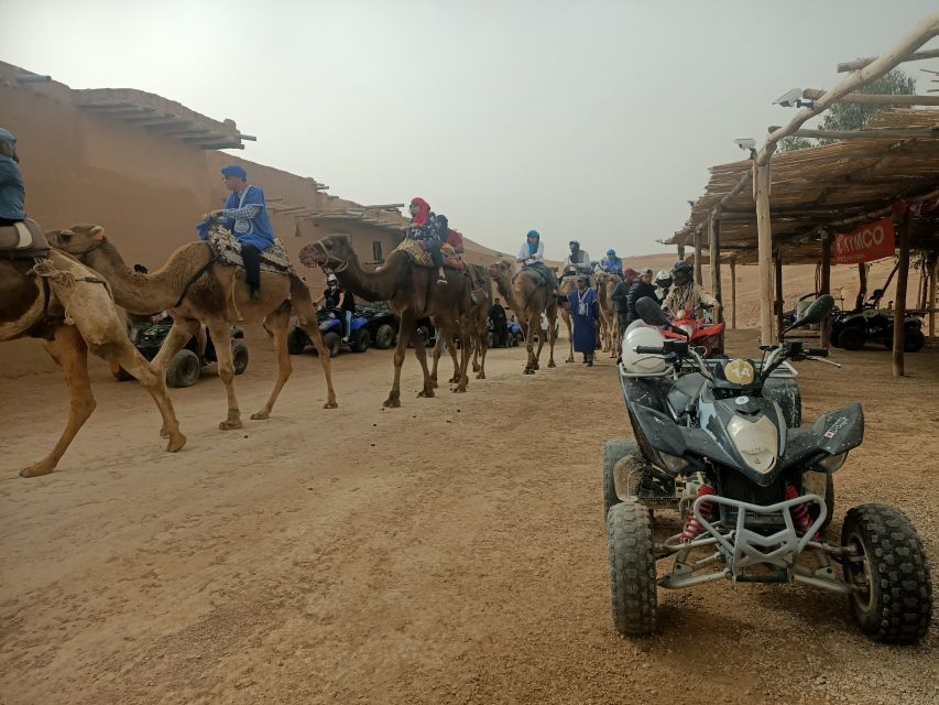 Quad Bike, Camel Ride & Hammam Massage - Key Points