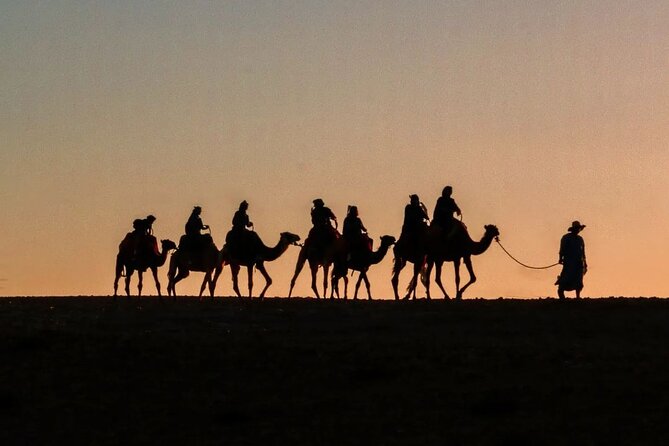 Quad Bike & Camel Ride on Sunset and Romantic Dinner With Show - Key Points