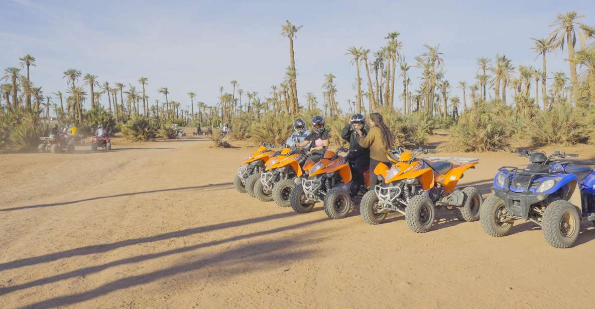 Quad Bike in the Desert & Dromedary Tour - Key Points