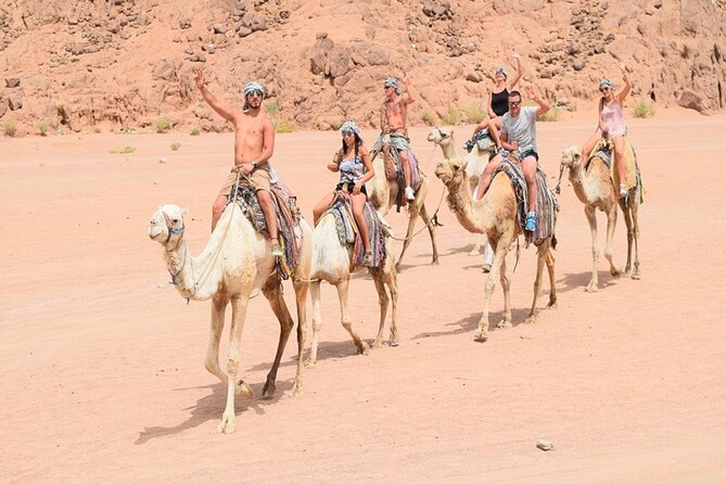 Quad Biking Safari-Camel Ride-Bedouin Dinner and Shows From Sharm - Duration and Group Size