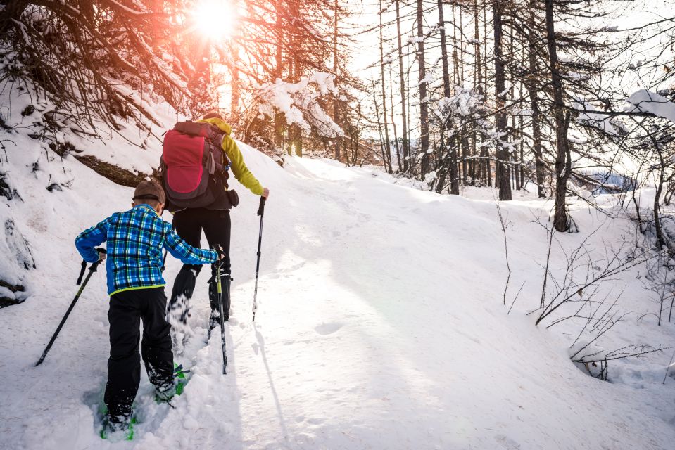 Quebec City: Jacques-Cartier National Park Snowshoeing Tour - Key Points