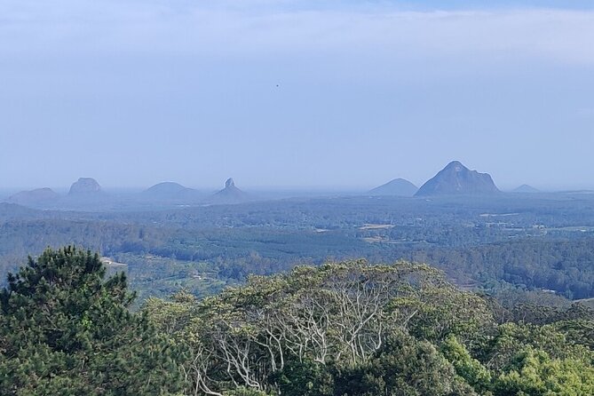 Queensland Food Tour: Farm-to-Table Indulgence - Key Points