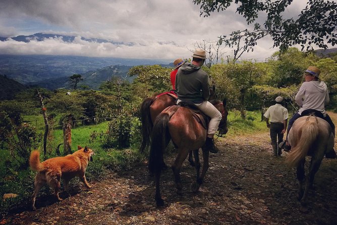 Queveri Horseback Riding Tours - Key Points