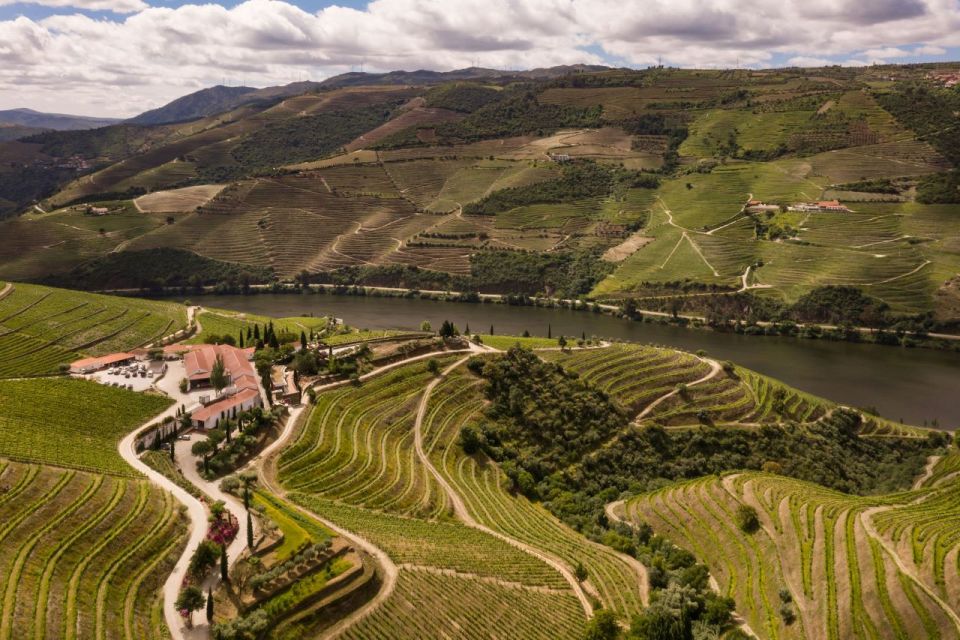 Quinta Nova: Douro Reserve Wine Tour & Tasting - Key Points
