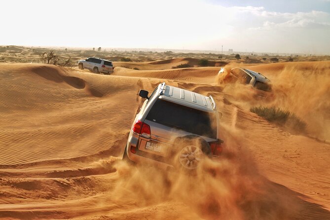 Ras Al Khaimah Desert Safari With Dune Bash, Dinner and Shows - Key Points