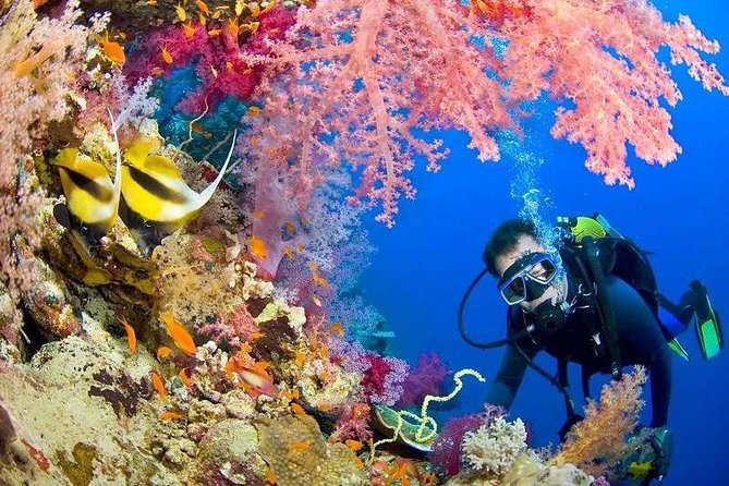 Red Sea Snorkeling From Hurghada - Snorkeling Itinerary and Highlights