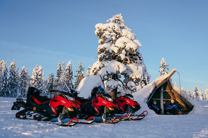 Reindeer Safari With Snowmobile and Cross the Arctic Circle Tour From Rovaniemi - Tour Overview