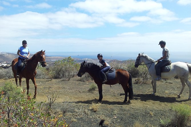Relaxing Horse Riding Tour in Gran Canaria - Key Points