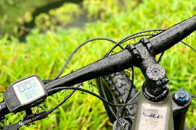 Rental of an Electric Mountain Bike on the Tahiti Peninsula - Key Points