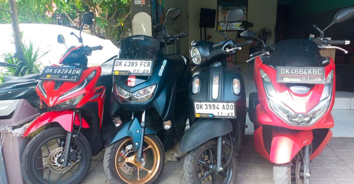 Rental Scooter or Motorbike In Bali Free Local Sim Card - Key Points