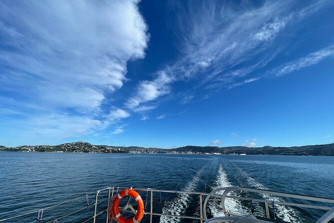 Return Ferry Trip to MāTiu/Somes Island - Key Points