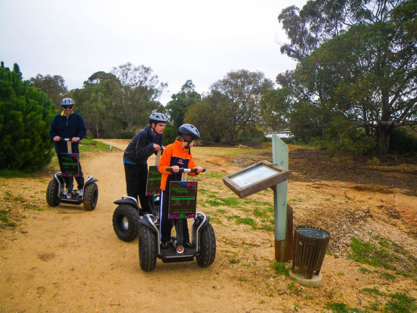 Ria Formosa National Park Segway Tour & Seafood Lunch - Key Points