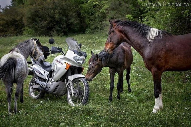 Riders Tours (Vikos-Aoos Geopark) - Key Points