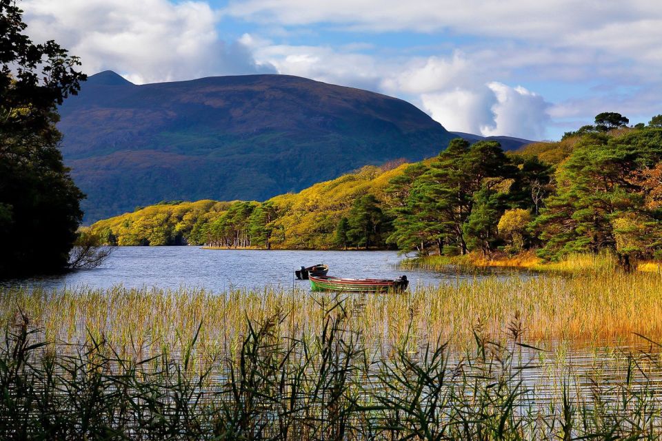 Ring of Kerry: Full-Day Tour From Killarney - Key Points