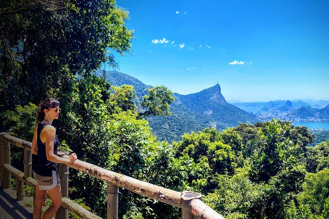 Rio Nature Secrets – the Eco Citytour (Small Group or Private)