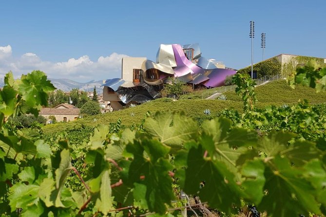 Rioja Wine Tour: 2 Wineries From Pamplona - Key Points