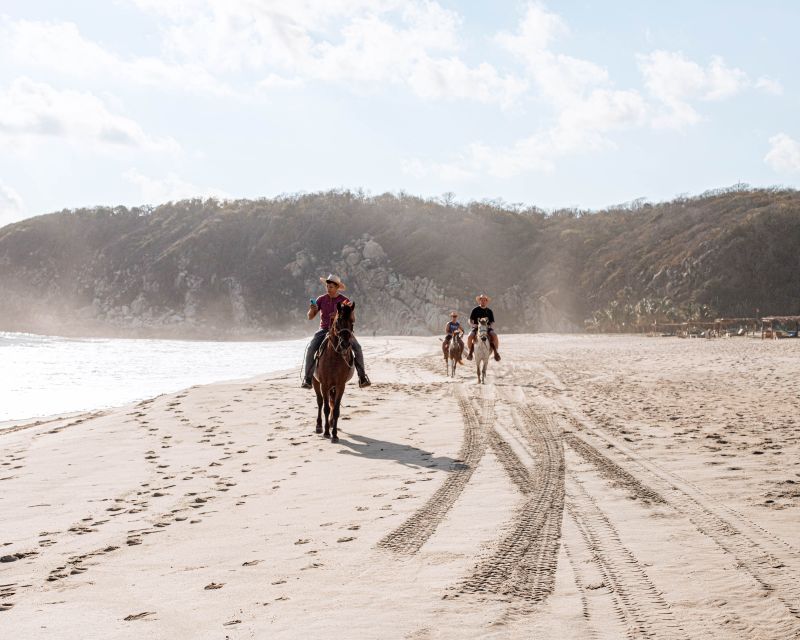 River, Ocean & Sunset Horse Riding Tour - Key Points