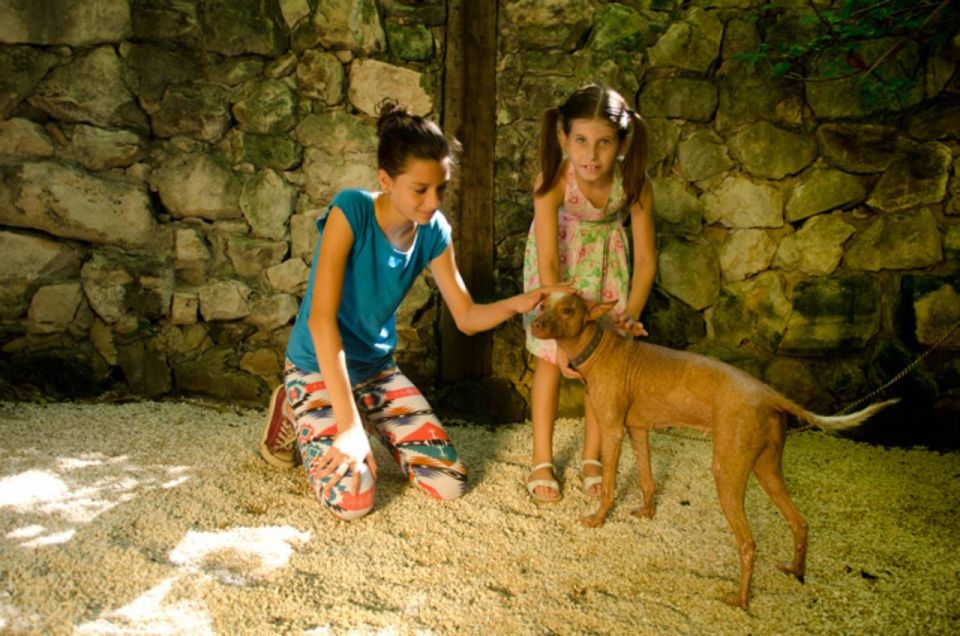 Riviera Maya: Croco Cun Interactive Zoo Tour - Booking Details