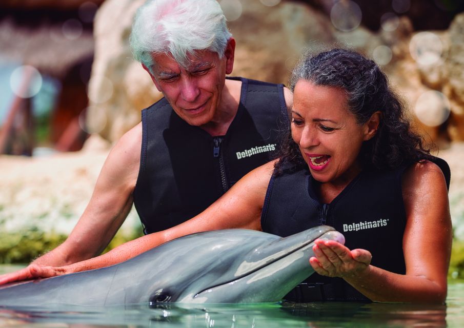 Riviera Maya Dolphin Connection: Dolphin Beyond Connection - Key Points