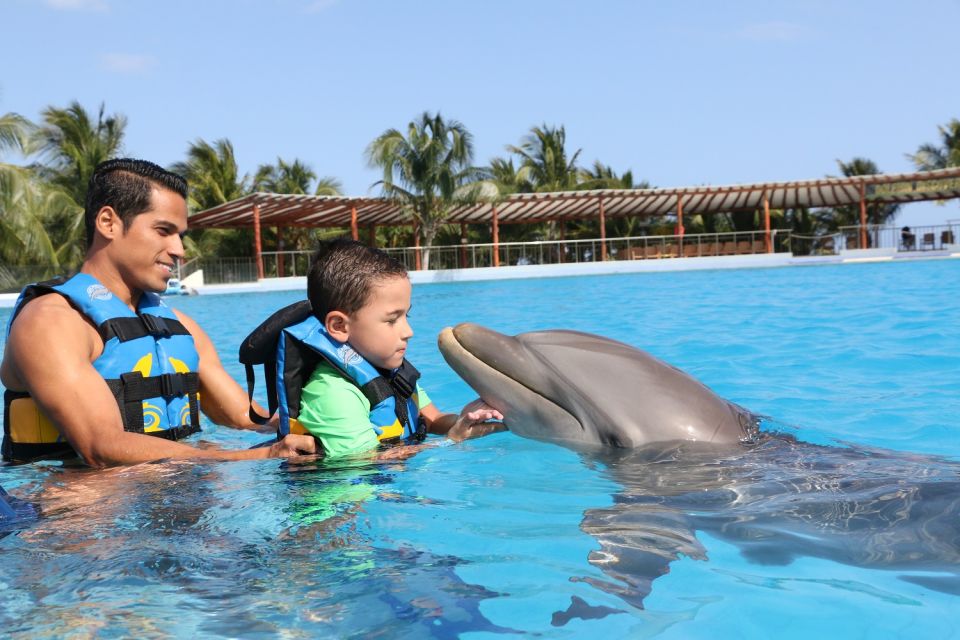 Riviera Maya: Dolphin Encounter With Beach Club Access - Key Points