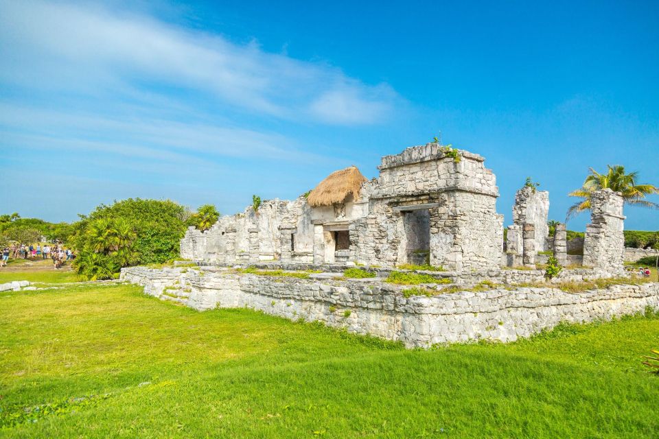 Riviera Maya: Tulum Ruins, Sea Turtles & Cenote Day Tour - Key Points