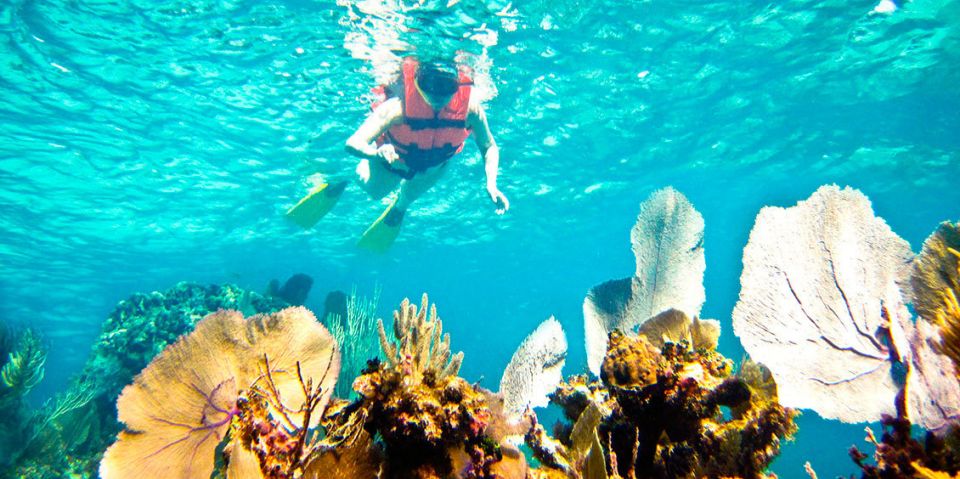 Riviera Maya: Two-Reef Snorkeling Experience - Key Points