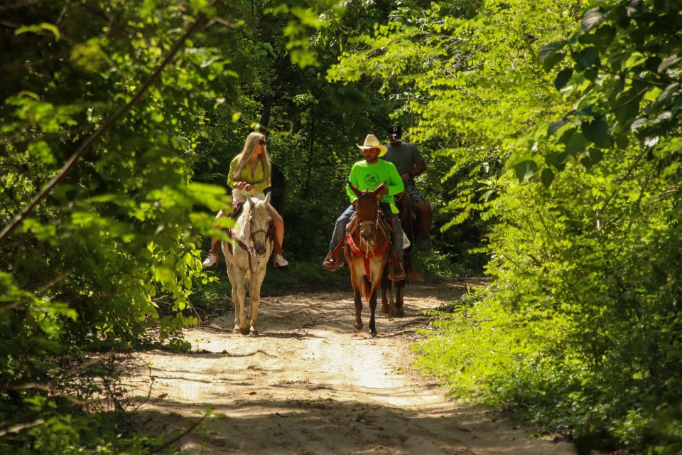 Riviera Nayarit: Horseback Ride and ATV Ride - Key Points