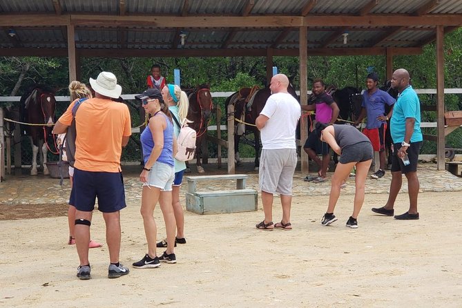 Roatan Nature Combo: Mangrove Cruise, Horseback Riding & Snorkel - Key Points