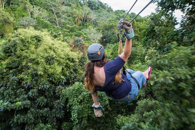 Roatan Zipline and Hiking Half-Day Small-Group Adventure - Key Points