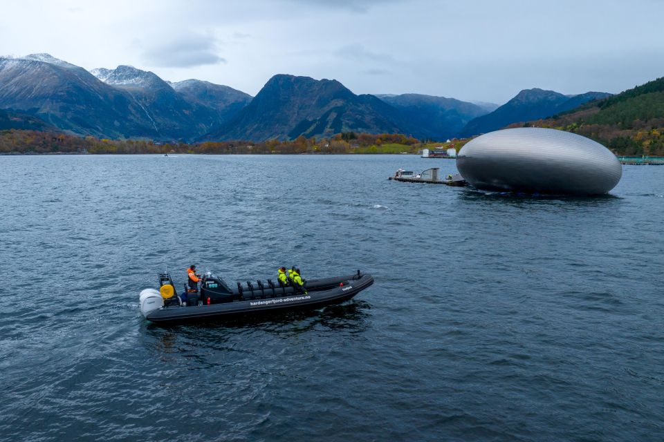 Rosendal Majesty: Exclusive RIB Adventure in Hardangerfjord - Key Points