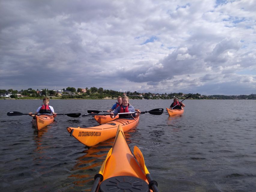 Roskilde:Guided Kayaking on Roskilde Fjord: Sunday Afternoon - Key Points